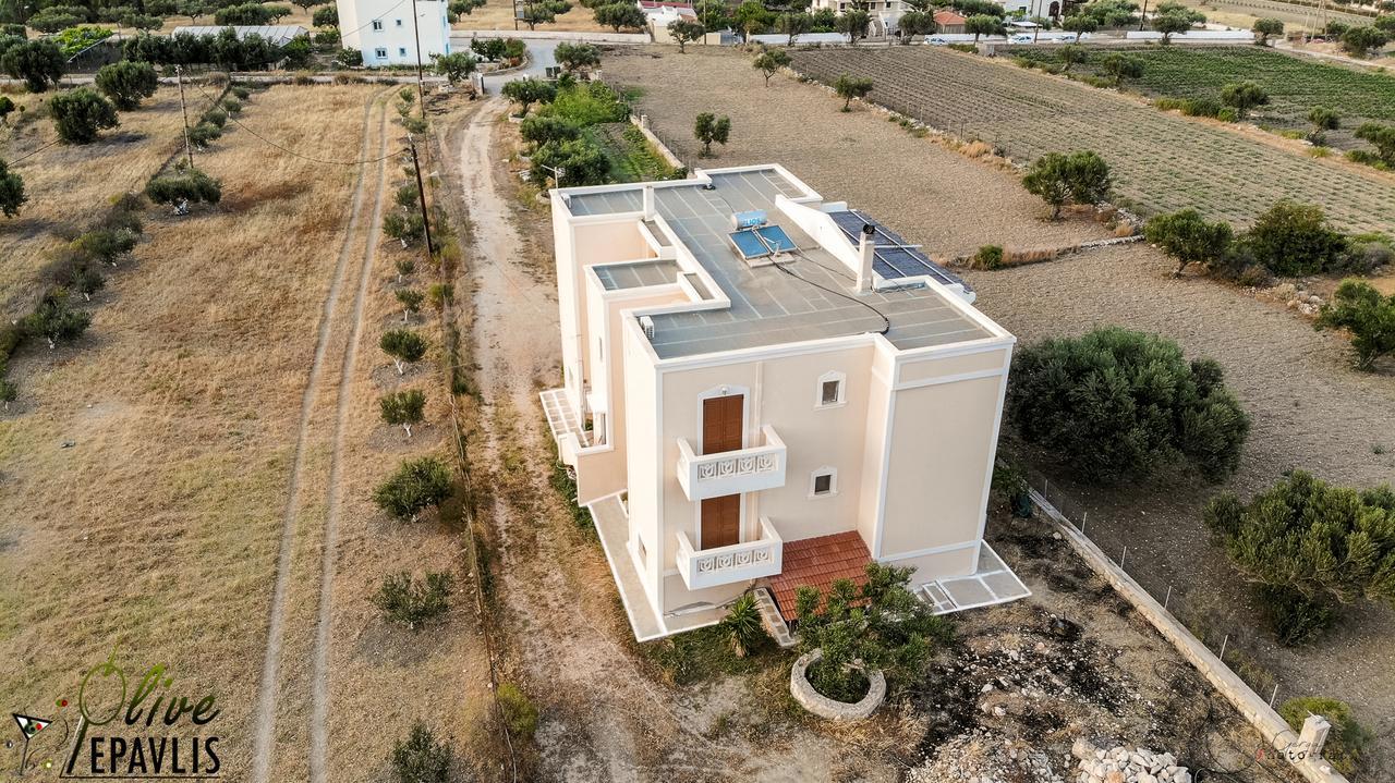 Olive Epavlis Apartment การ์ปาตอส ภายนอก รูปภาพ
