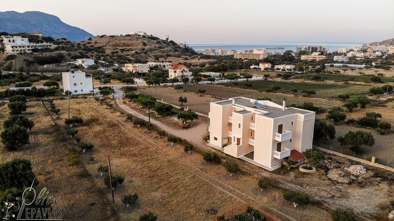 Olive Epavlis Apartment การ์ปาตอส ภายนอก รูปภาพ